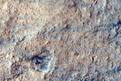 Monitoring Dust Devil Tracks
