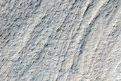 Ridge Network in Hellas Planitia
