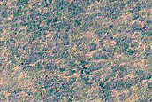 Seasonal Monitoring South of Pityusa Patera
