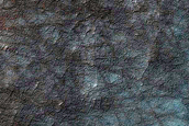 USGS Dune Database Entry Number 2372-771
