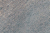 Terrain Sample
