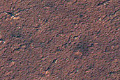 Spiders Not on South Polar Layered Deposits
