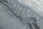 Layers in Trough Near Elysium Fossae
