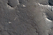 Cratered Cones in Amenthes Region
