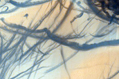 Dunes and Striations
