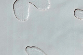 South Polar Residual Cap Monitoring
