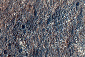 Terrain Sample

