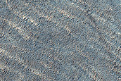 Terrain Sample
