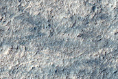 Monitoring Dust Devil Tracks
