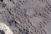 Possible Sulfate-Rich Terrain
