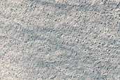 Reimage Large Gully in Charitum Montes
