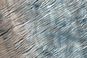 Cryptic Terrain Margin Monitoring in Reynolds Crater
