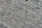 South Polar Terrain
