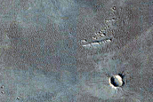Monitoring New Impact Site
