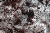 South Polar Monitoring
