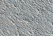 Monitoring New Impact Site
