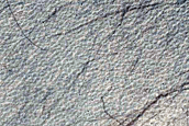 Searching for Dust Devil Tracks
