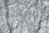 Mid-Latitude Terrain Sample
