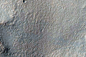 Gully Monitoring

