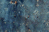 Syrtis Major Planum Wind Streak and Albedo Monitoring
