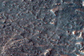 Gullies in Argyre Region
