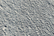 Cones in Galaxias Colles

