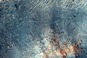 Tyrrhena Terra
