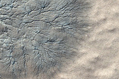 Monitor Seasonal Changes at South Polar Cracked and Gullied Site

