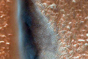USGS Dune Database Entry Number 2459-504
