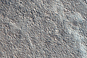 Contact in Arcadia Planitia
