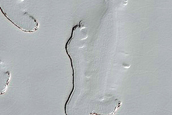 Physical Properties of South Polar Residual Ice Surface

