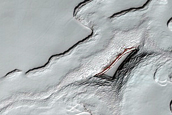 Color and Physical Properties of South Polar Residual Ice Surface
