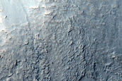 Gullies in South Mid-Latitude Crater
