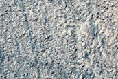 Concentric Crater Fill Morphology
