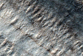 Exposure of Basal Layered Deposits in Chasma Australe
