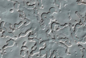 South Pole Residual Cap Monitoring 
