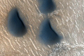 USGS Dune Database Entry Number 0682-448
