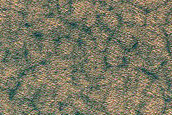 South Polar Layered Deposits
