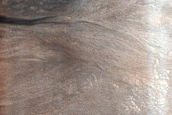Gully Monitoring
