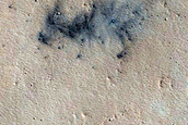 Monitoring New Impact Site
