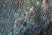 Ridge Extending from Valley at Intersection of Crater Wall and Floor
