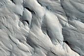 Ridge Network South of Lycus Sulci
