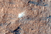 Monitoring Dust Devil Tracks
