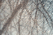Well-Preserved Simple High-Latitude Crater
