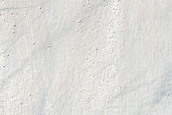 Gully Monitoring
