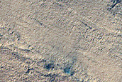 Circular Features on South Polar Layered Deposits
