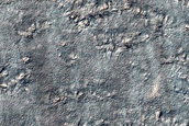 Circular Feature
