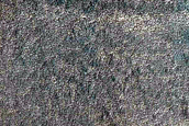 Terrain in Lyot Crater
