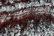 Monitoring of South Polar Residual Cap
