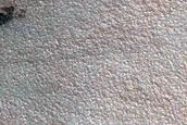 Gully Monitoring
